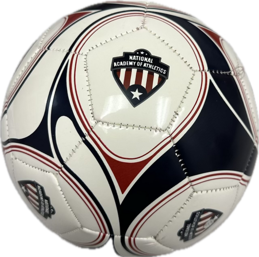 NAofA Soccer Ball